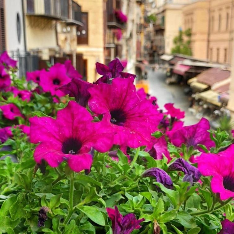Il Rosone Luxury B&B Palermo Luaran gambar